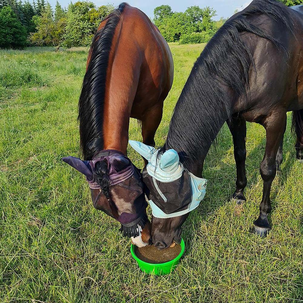 Delizia Bronchial Ciotola da leccare per cavalli