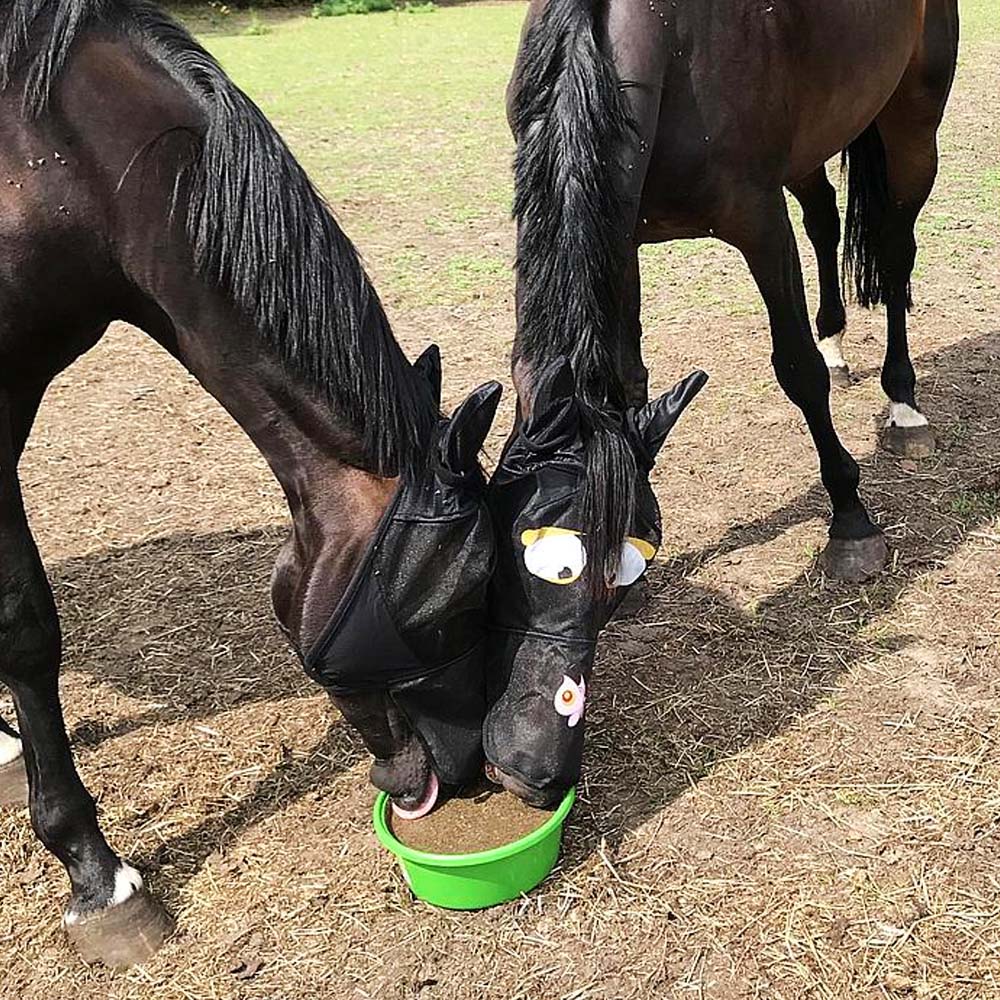 Delizia Bronchial Ciotola da leccare per cavalli