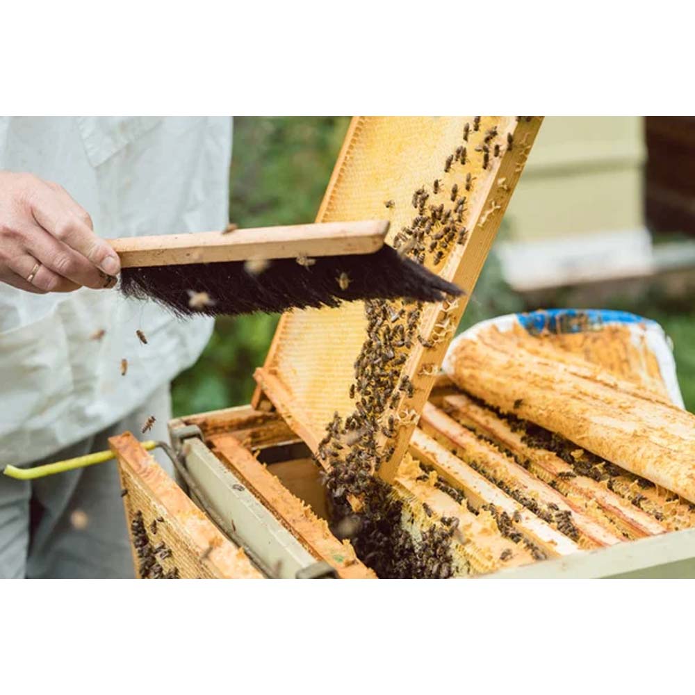 Scopa naturale grande Imgut®