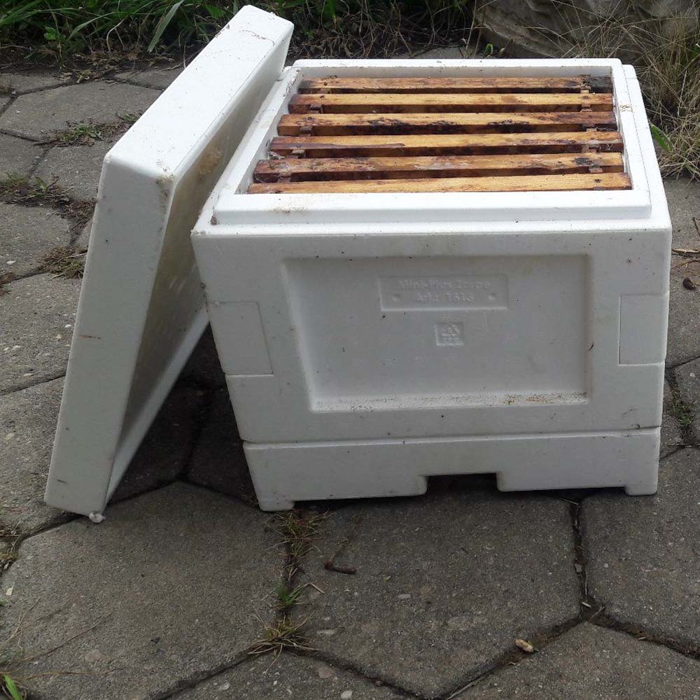 Bottino Mini Plus Styro completo di base