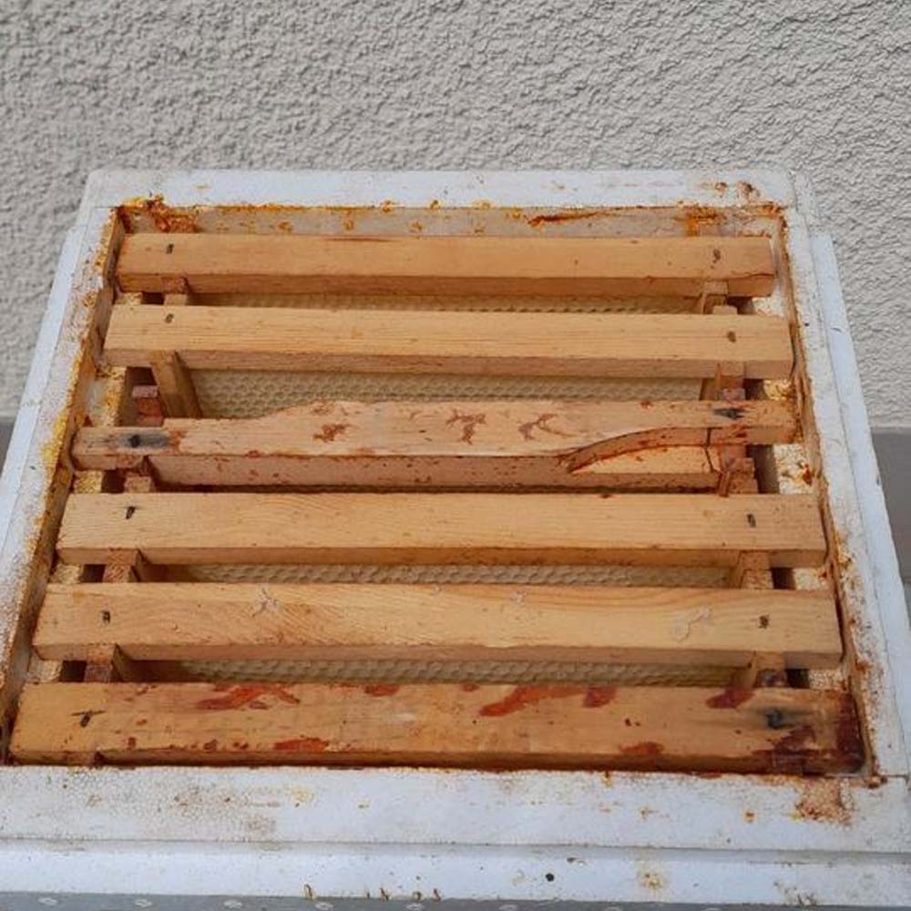 Bottino Mini Plus Styro completo di base