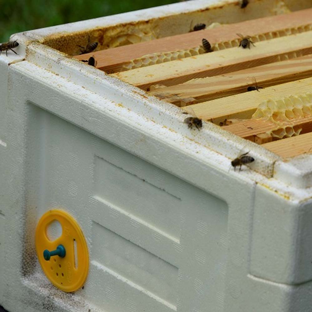 Bottino Mini Plus Styro completo di base