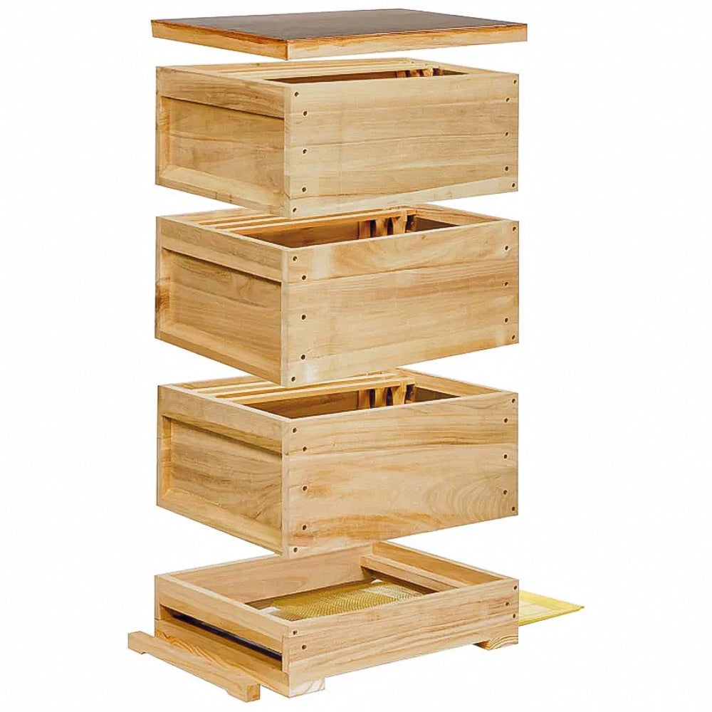 Arnia completa liebig zander con arnia in legno fondo piatto