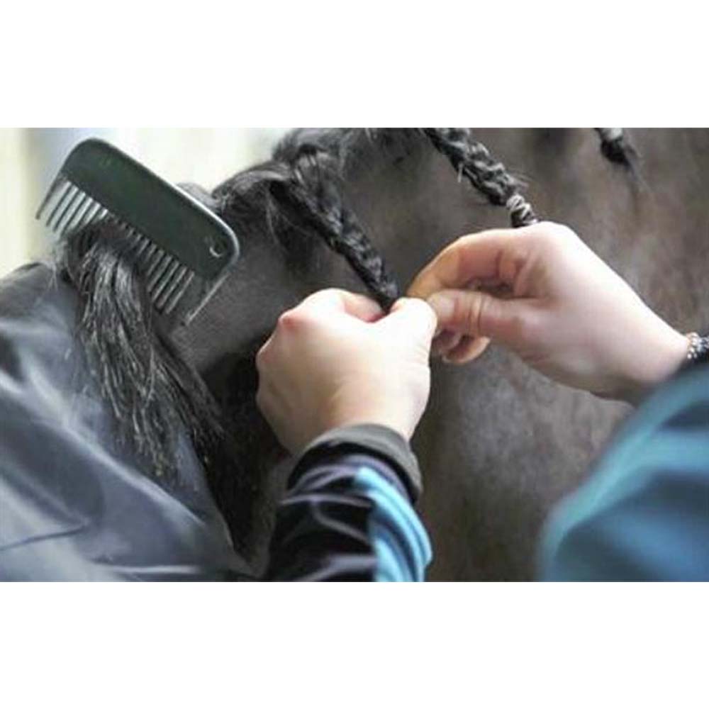 Elastici per equitazione Gomma siliconica per cavalli