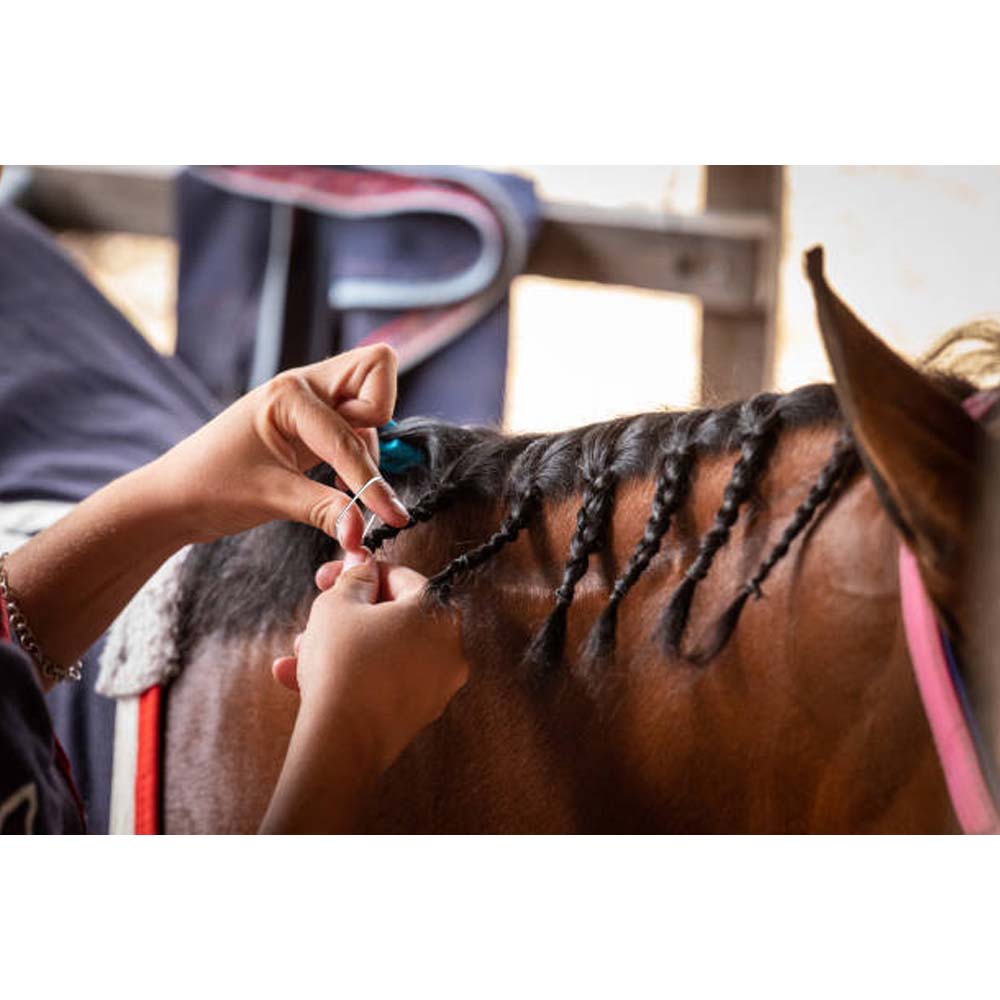 Elastici per equitazione Gomma siliconica per cavalli