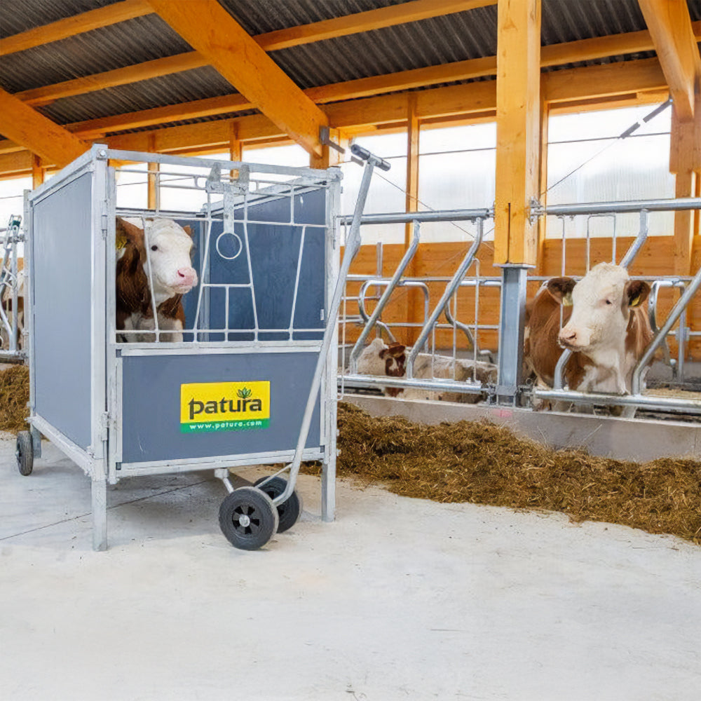 Gabbia per vitelli Auto MAXI