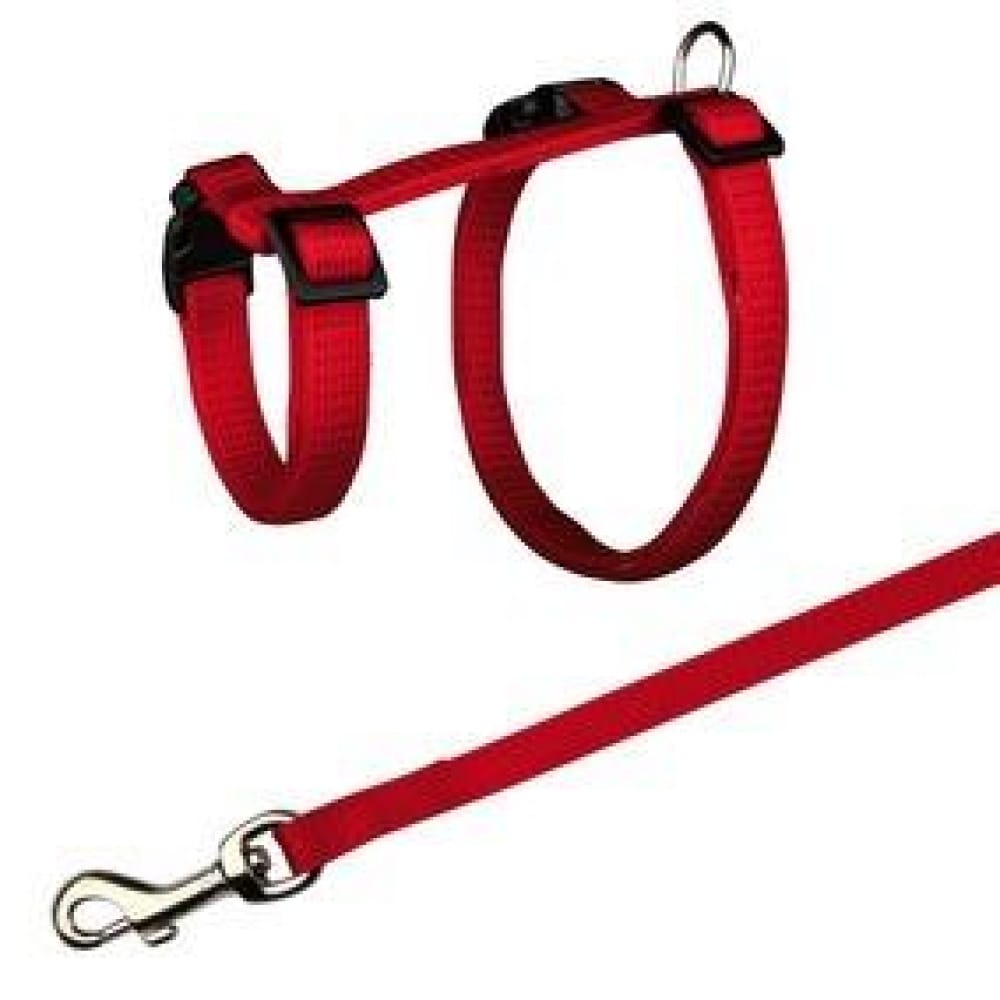 Pettorina Agility con guinzaglio 2m