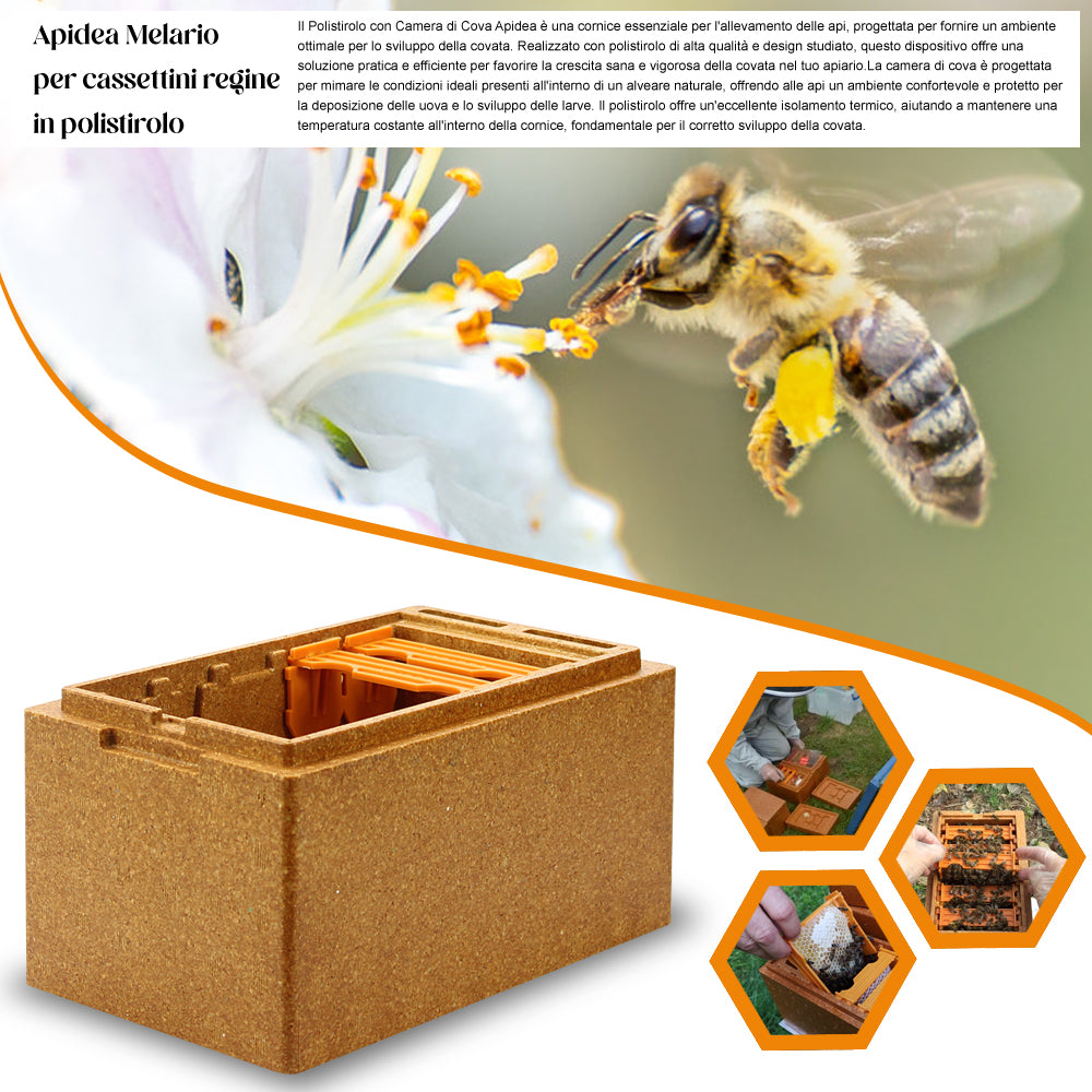 Apidea Arnietta fecondazione regine in polistirolo