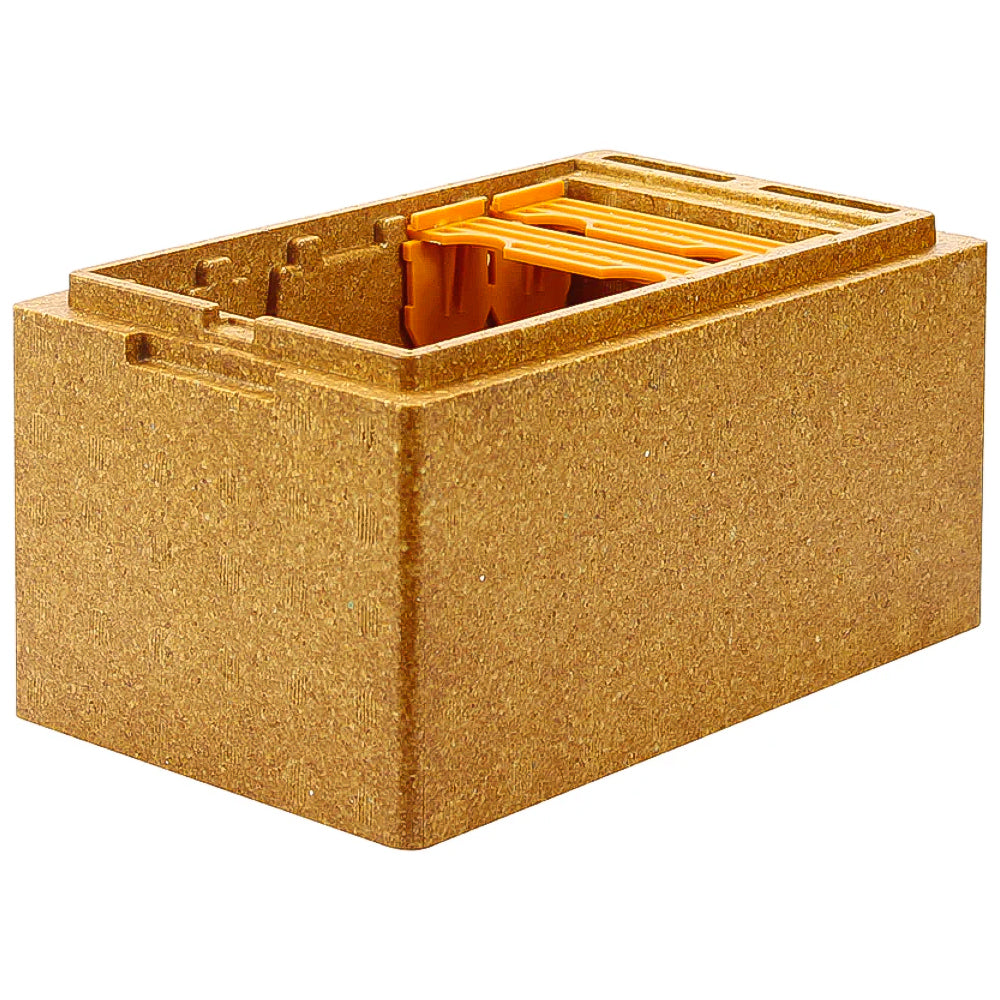 Apidea Arnietta fecondazione regine in polistirolo