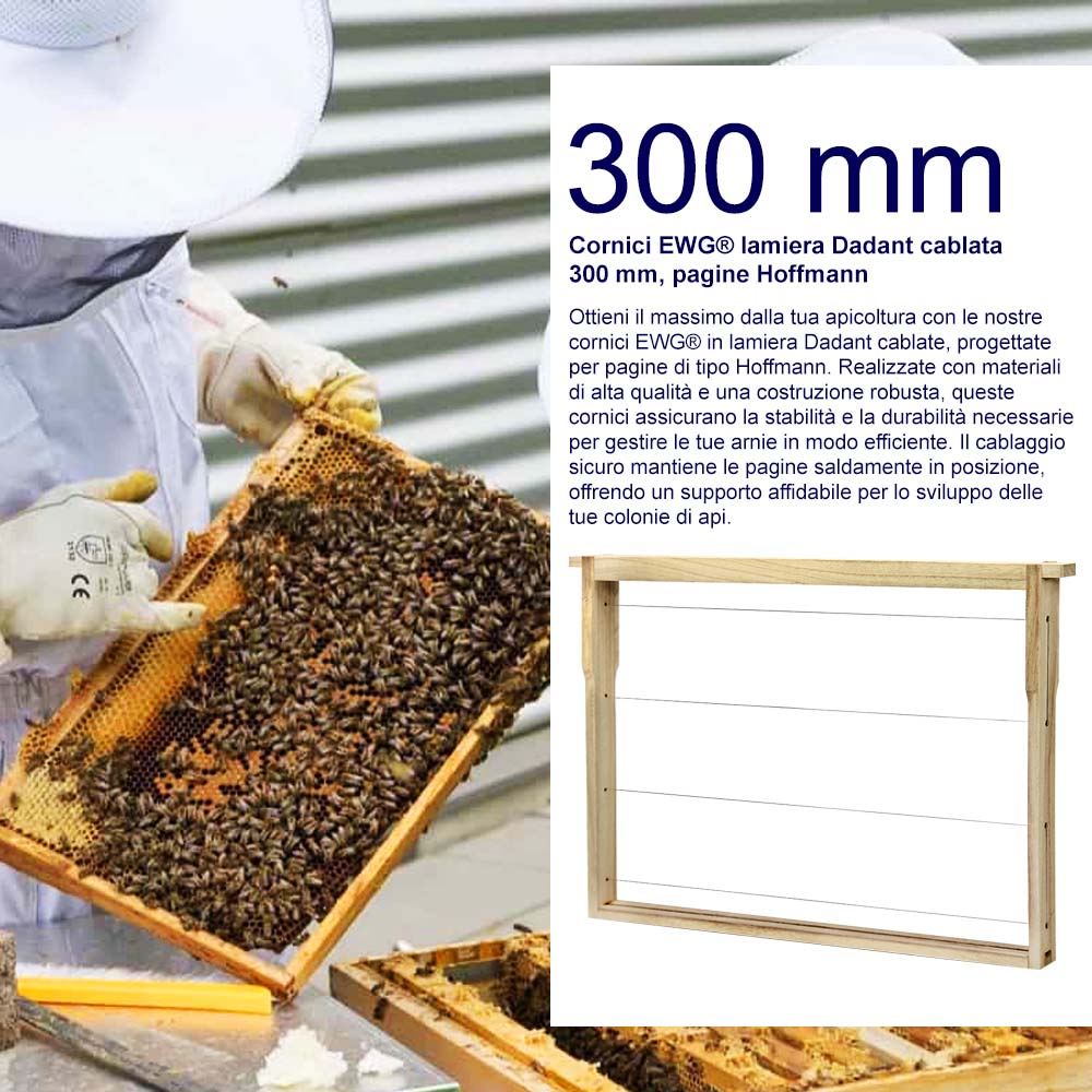 Cornici EWG® lamiera Dadant cablata 300 mm, pagine Hoffmann