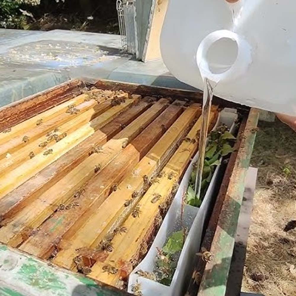 Imgut Nutritore a Tasca Mini Plus in plastica