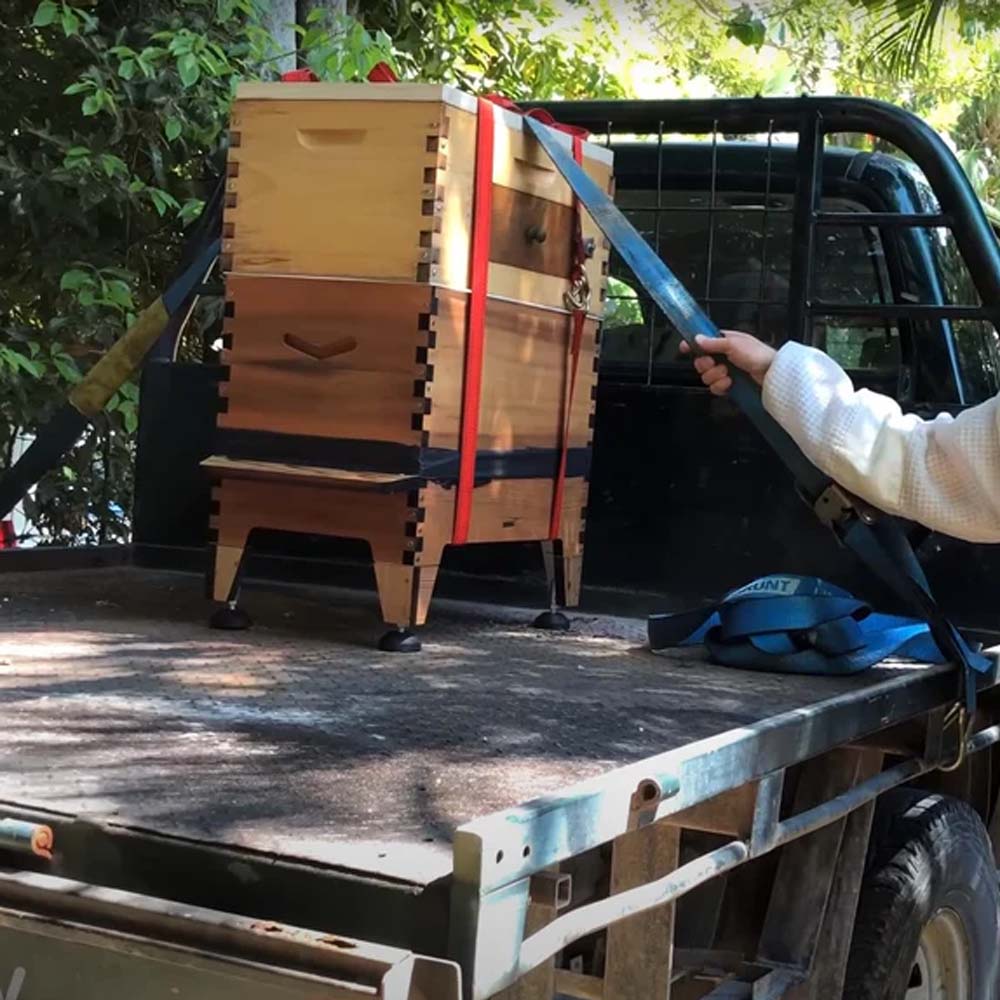 Imbracature da escursionismo ApiNord®