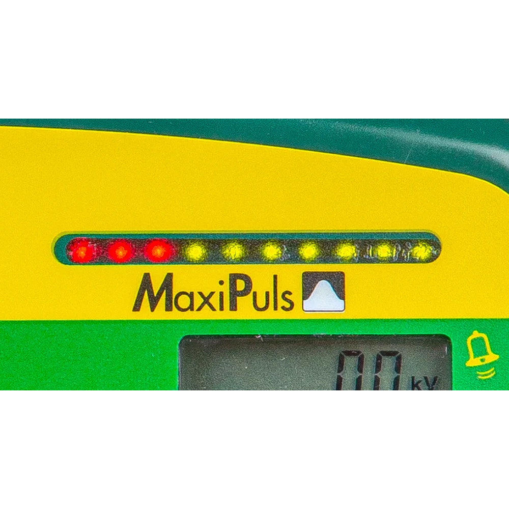 ProfiPlus P 4600 MaxiPuls Elettrificatore Multitensione