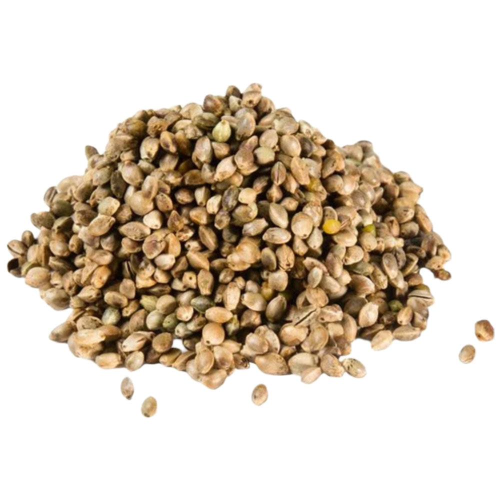 Hanfsaat Mangime Semi di Canapa per Uccelli - 1kg