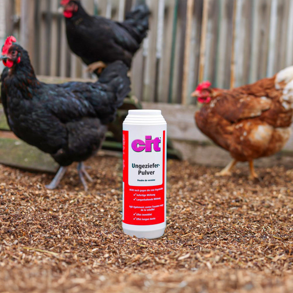 Cit polvere insetticida 500 ml