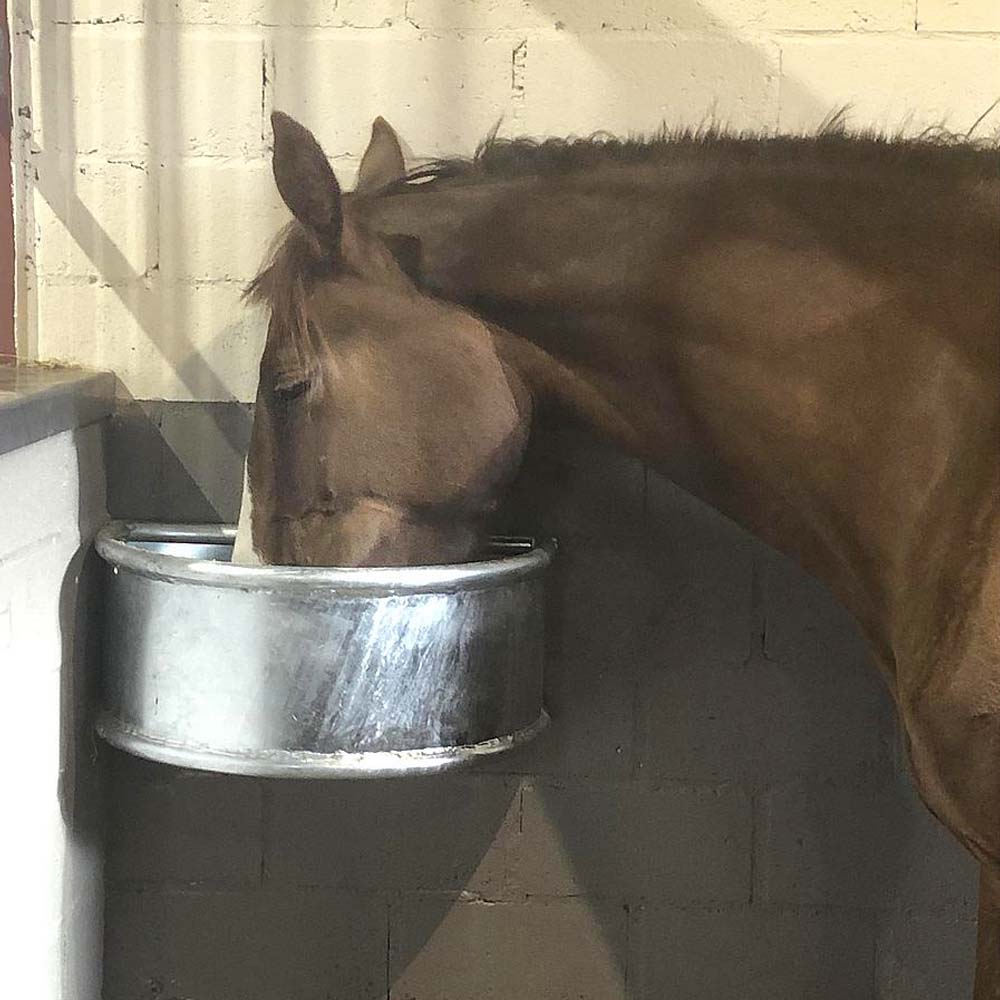 Trogolo tondo in metallo zincato