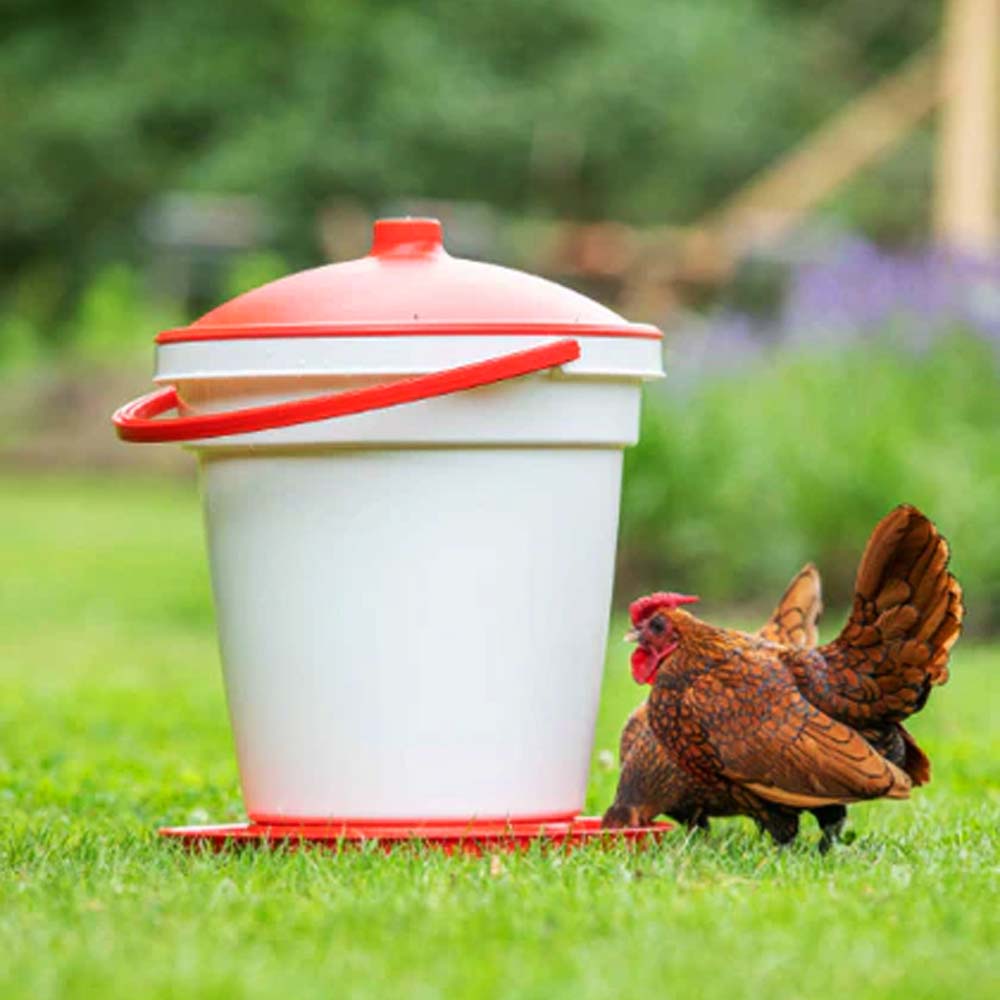 Ares abbeveratoio a sifone 18 lt avicoltura