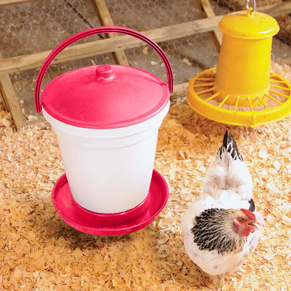 Ares abbeveratoio a sifone 18 lt avicoltura