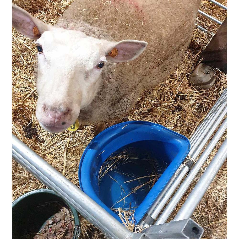 Mangiatoia portatile con staffa per aggancio in plastica antischegge