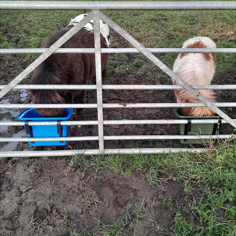 Mangiatoia portatile con staffa per aggancio in plastica antischegge