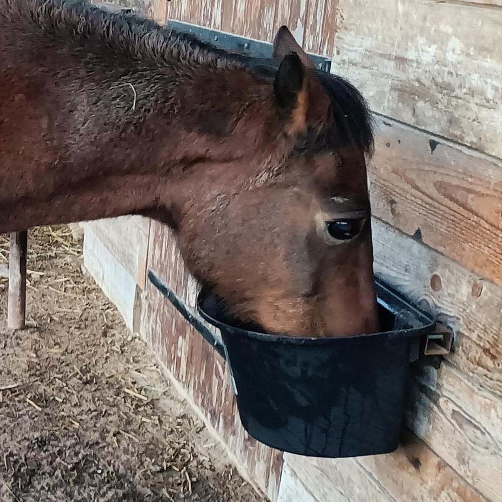 Mangiatoia portatile con staffa per aggancio in plastica antischegge