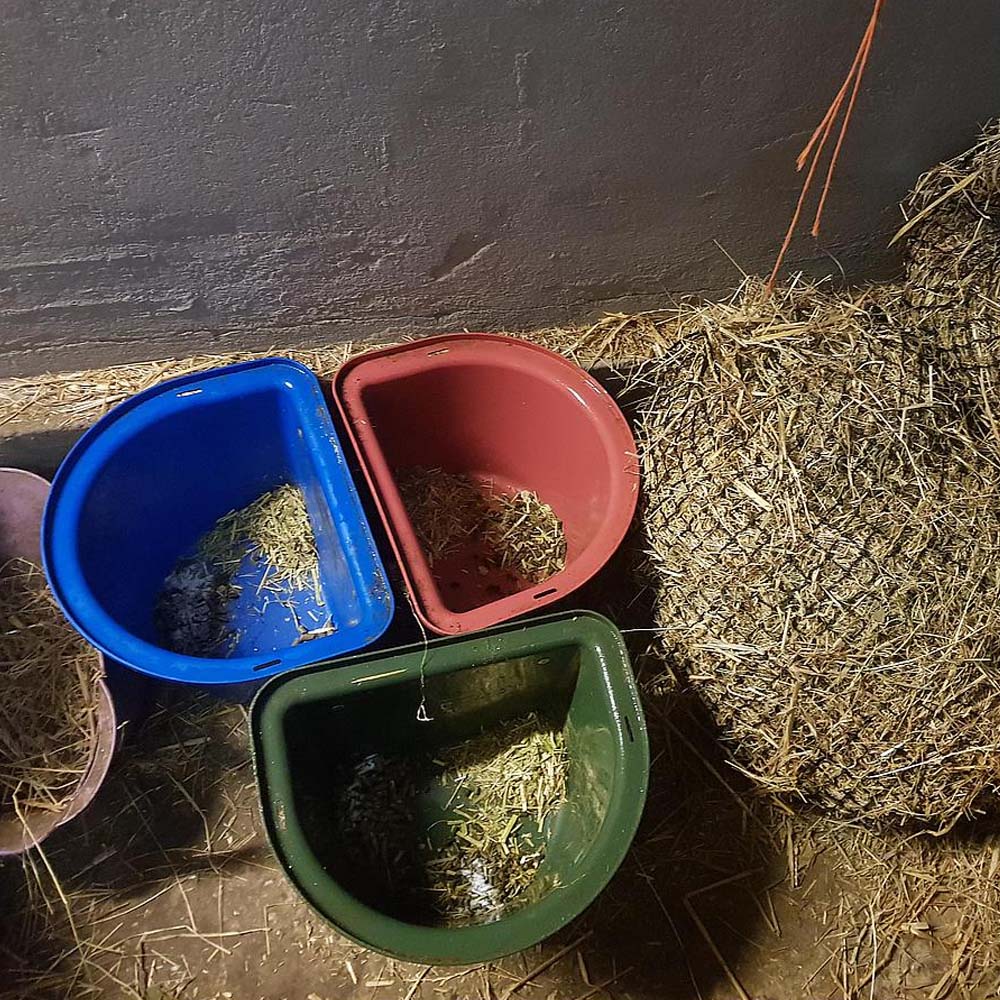 Mangiatoia portatile con staffa per aggancio in plastica antischegge