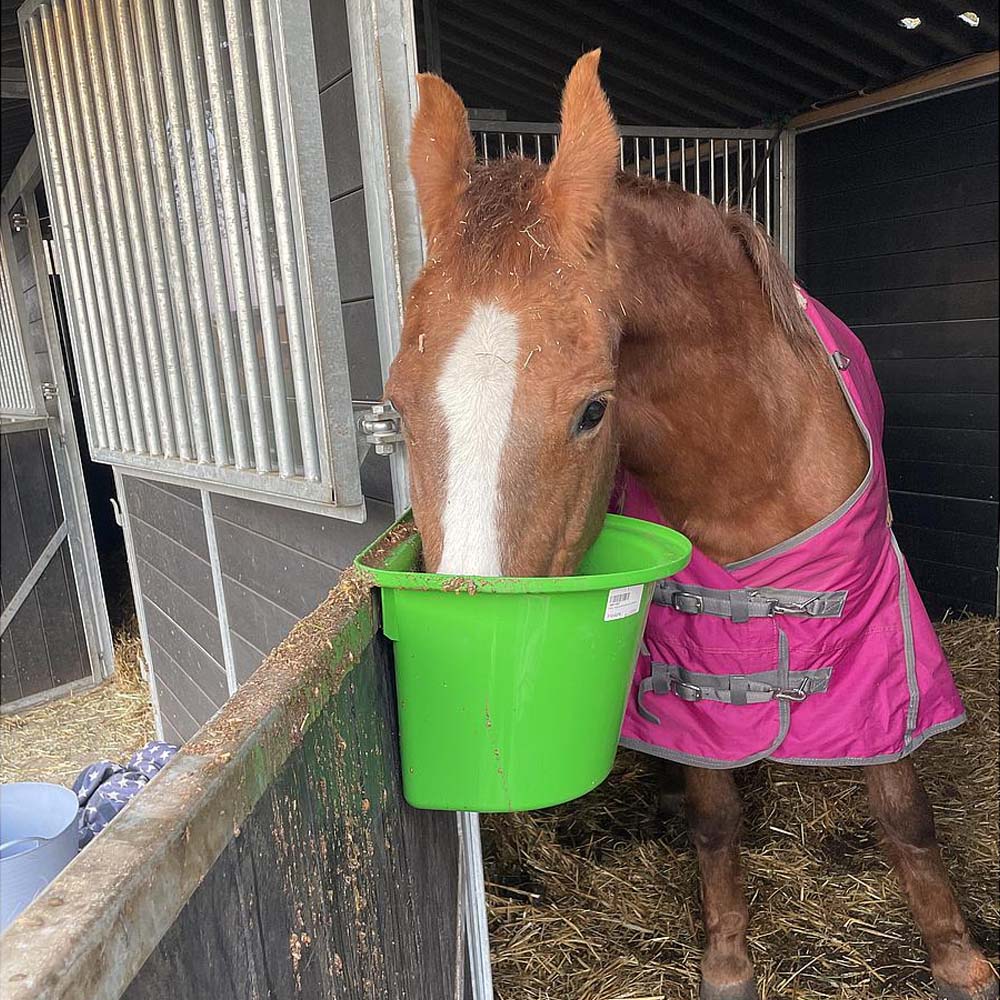 Mangiatoia portatile con staffa per aggancio in plastica antischegge