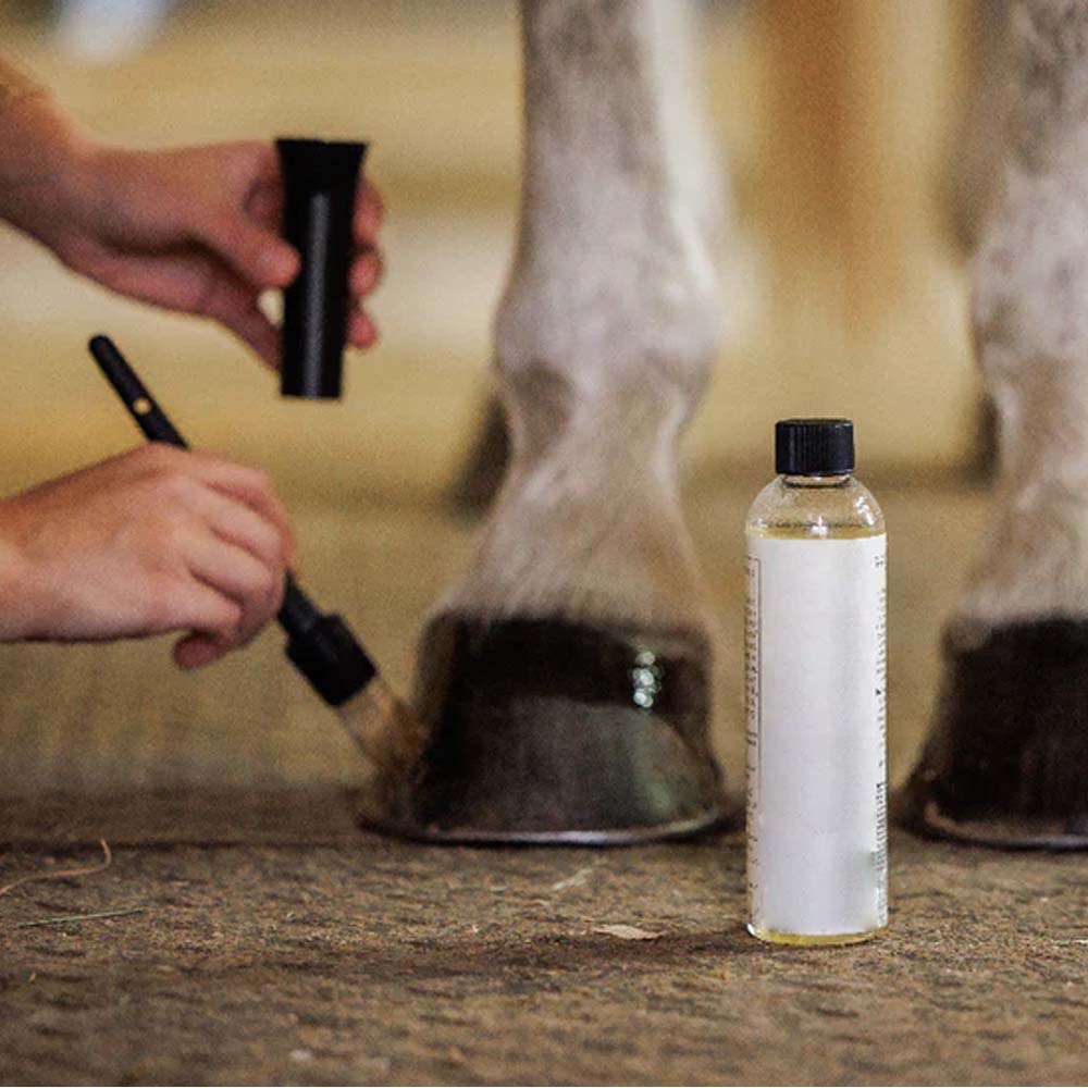 Pennello per zoccoli con cappuccio per cavalli