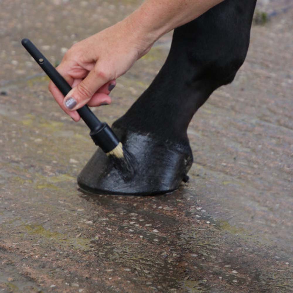 Pennello per zoccoli con cappuccio per cavalli