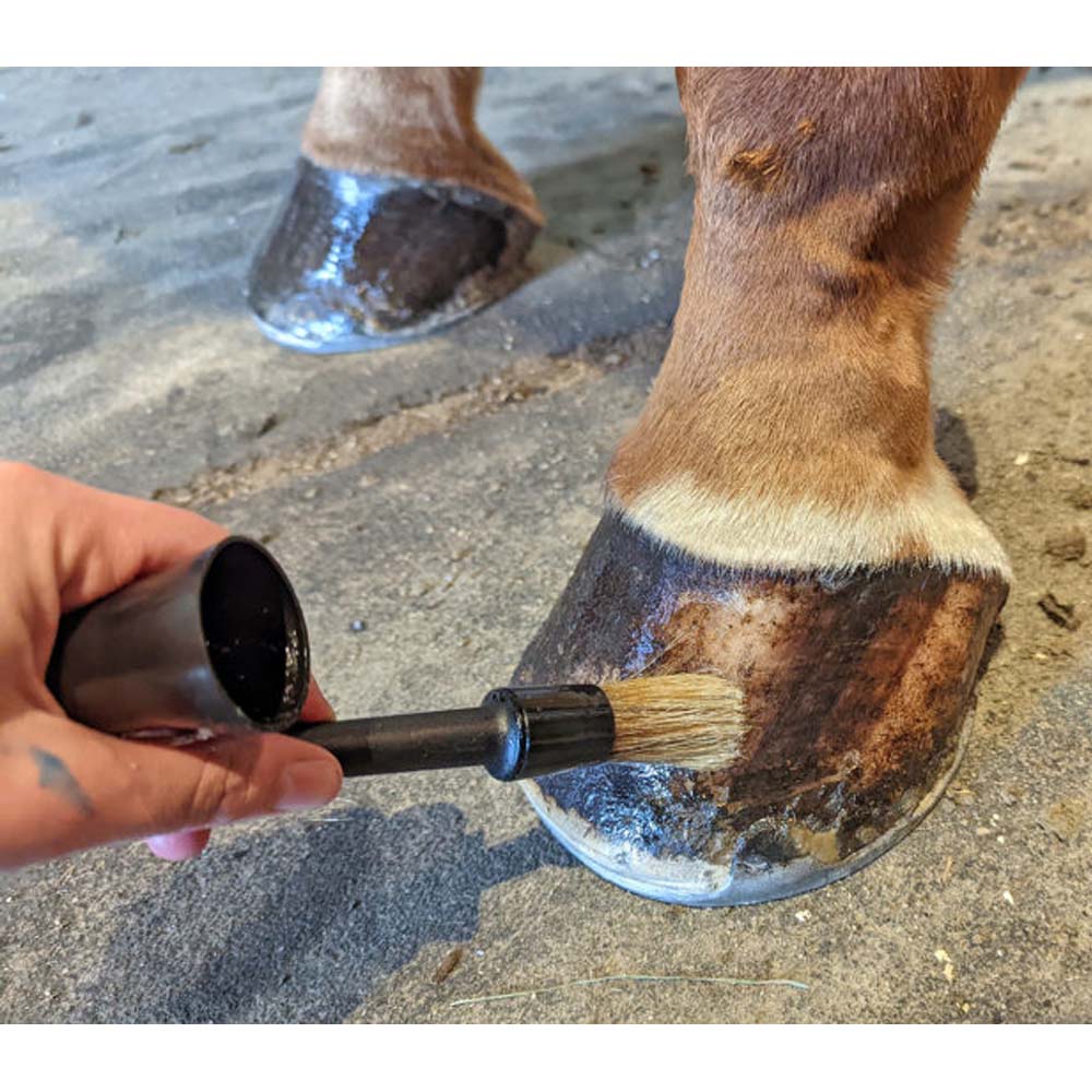 Pennello per zoccoli con cappuccio per cavalli