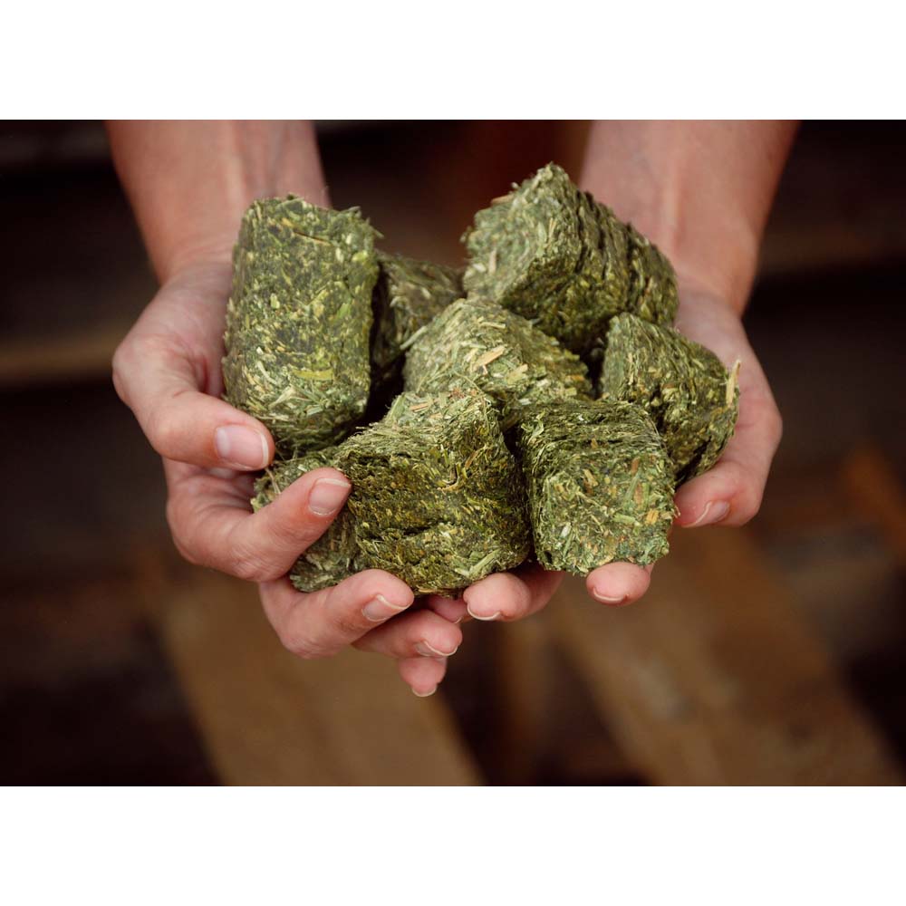 Beikircher Mangimi – Waffer con cereali (Sfuso/Big Bag/18kg)