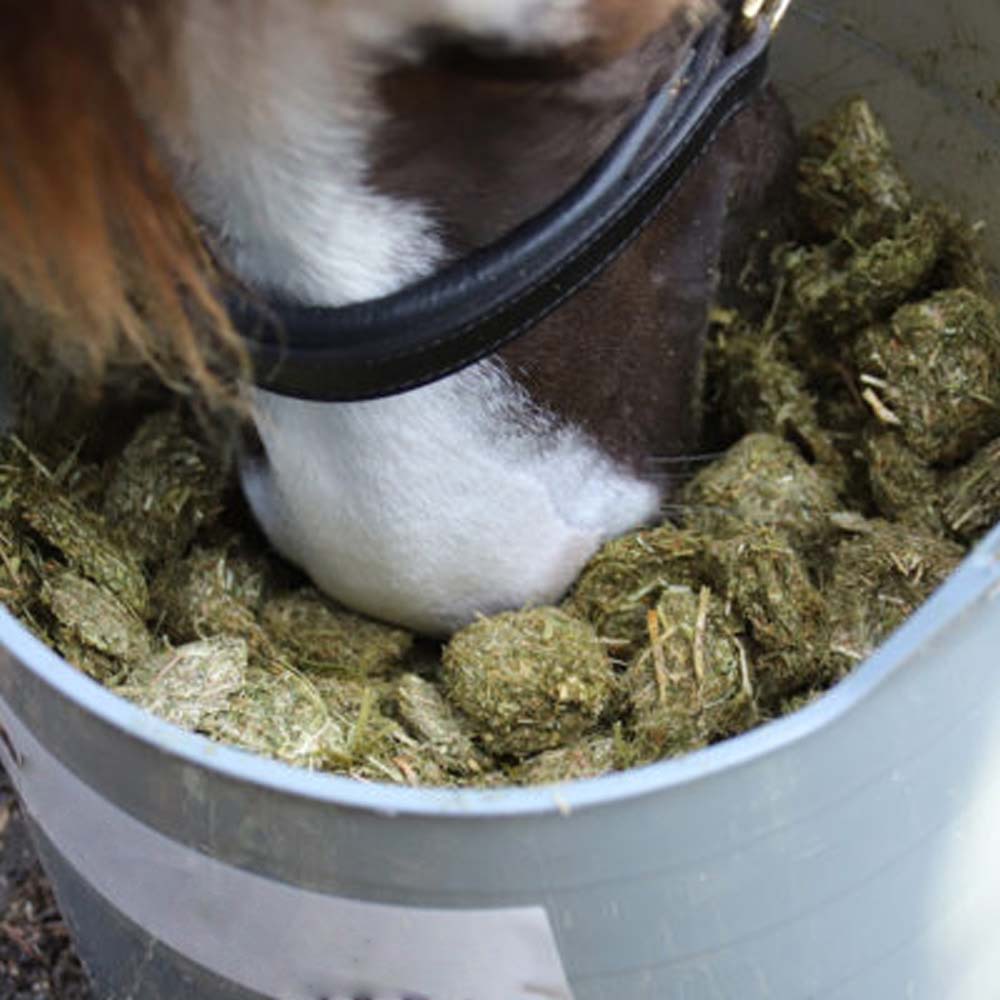 Beikircher Mangimi – Waffer con cereali (Sfuso/Big Bag/18kg)