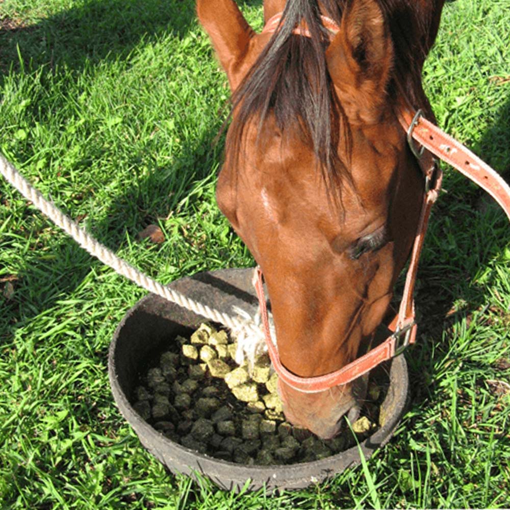 Beikircher Mangimi – Waffer con cereali (Sfuso/Big Bag/18kg)