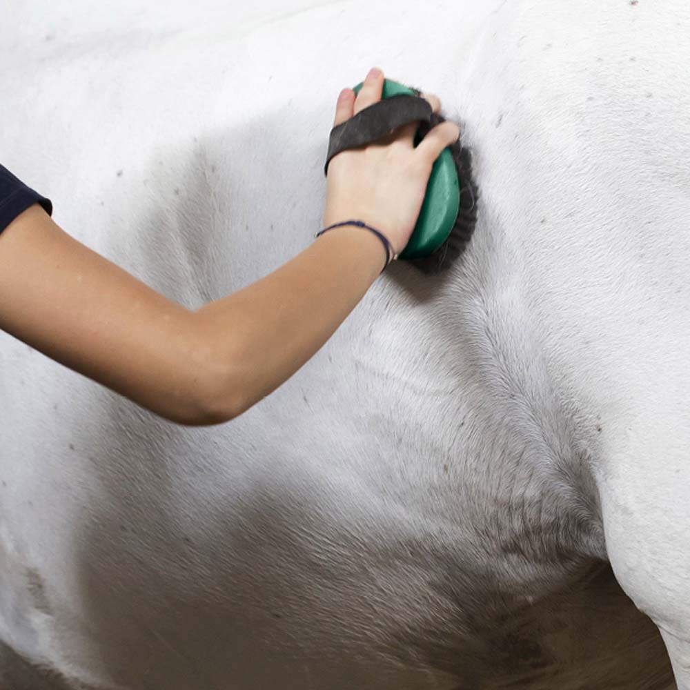 Spazzola per il pelo Haas con spugna