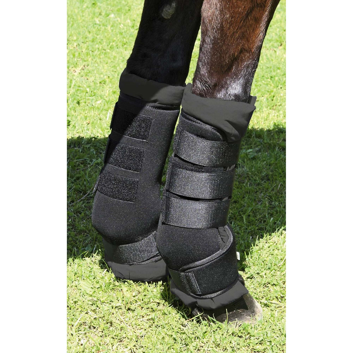 paracolpi cavallo trasporto