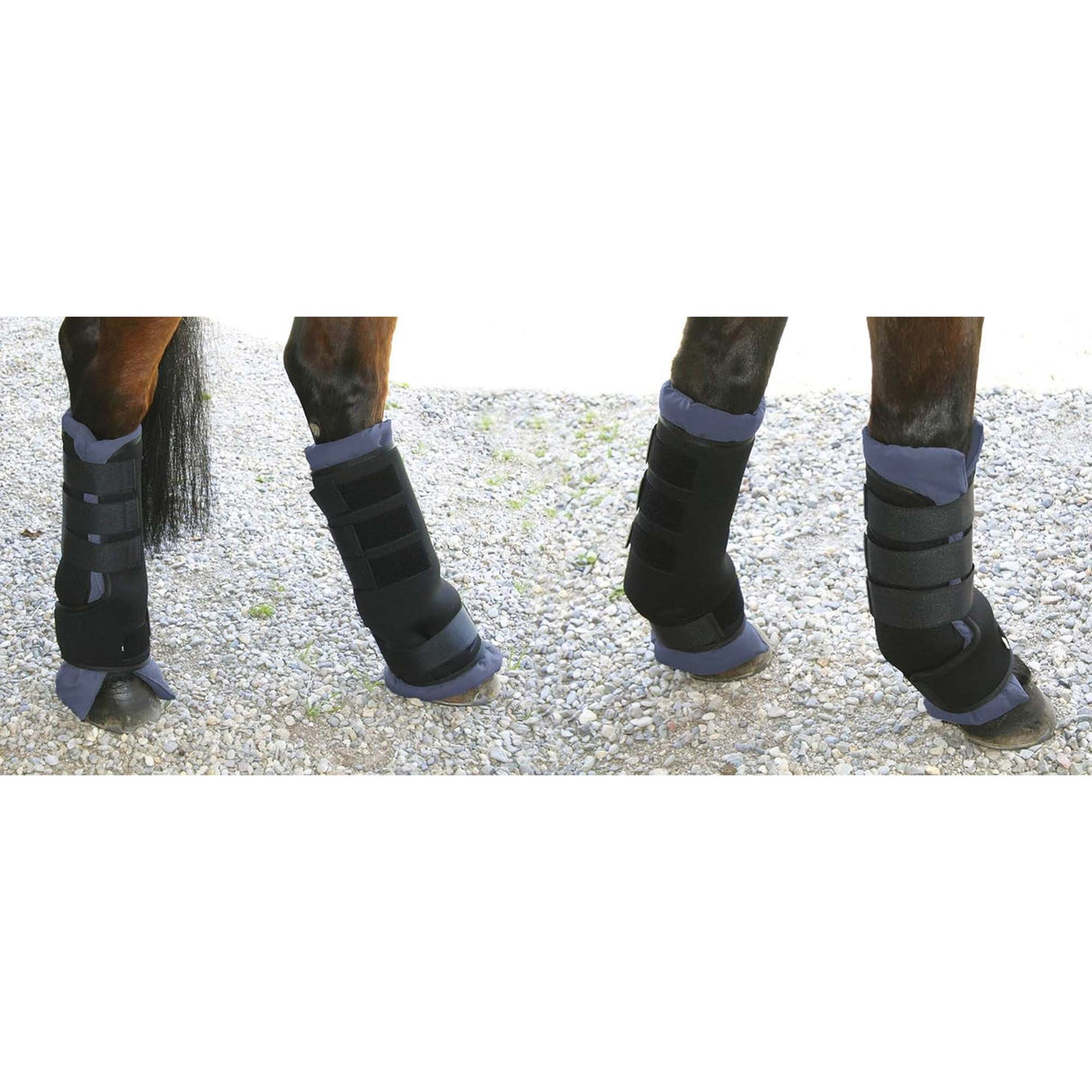 paracolpi da trasporto