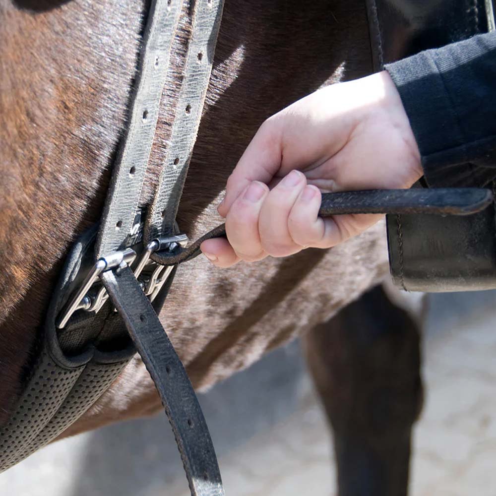 Cinghia per sella profilatap per cavalli