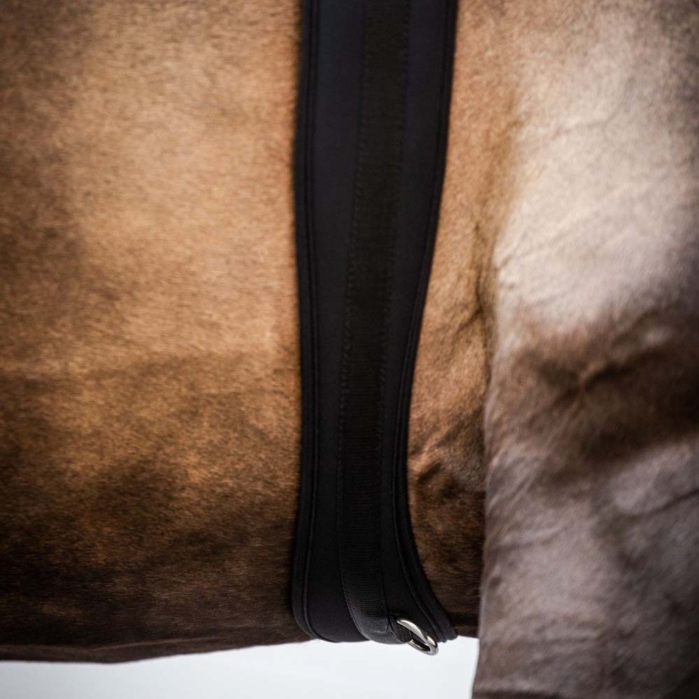 Cinghia per sella profilatap per cavalli