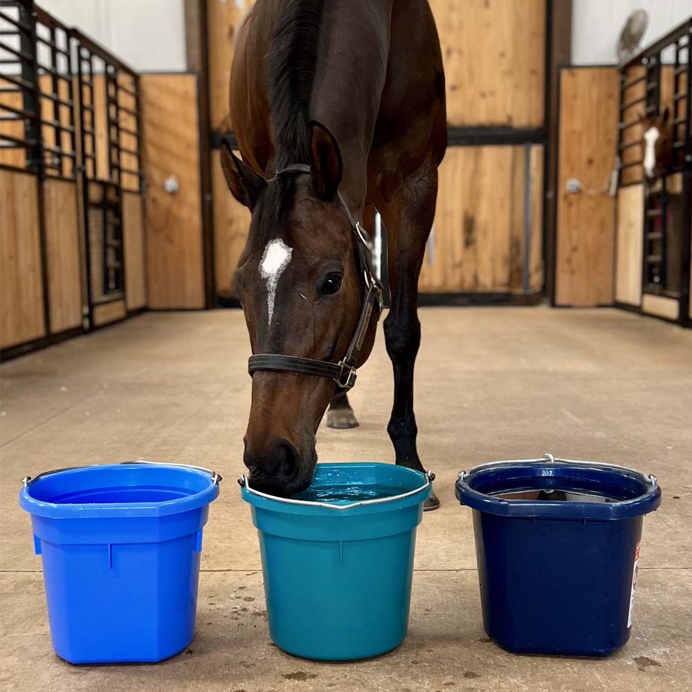 Secchio per mangime e acqua 20