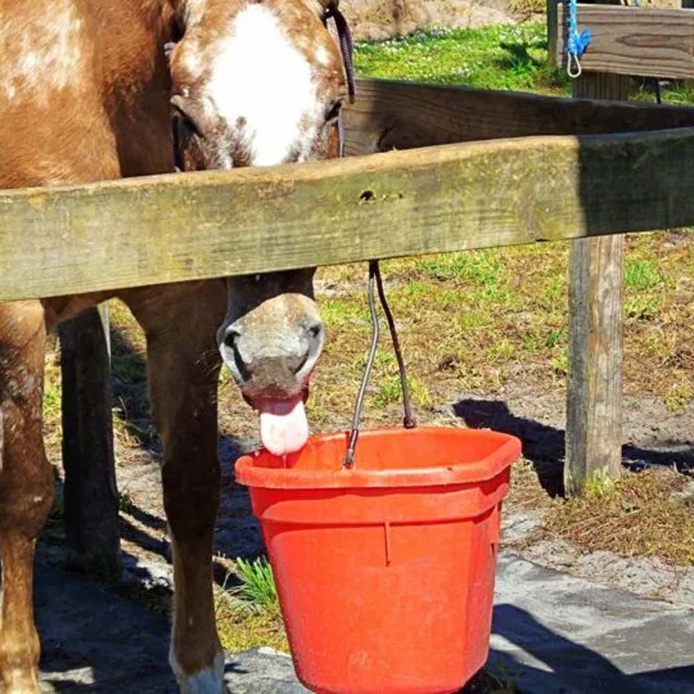 Secchio Per Cibo E Acqua 20 Litri