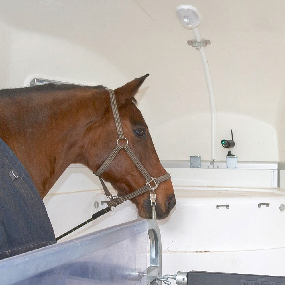 SmartCam HD Videocamera Wireless per Sorveglianza Animali con Supporto Magnetico e Visione