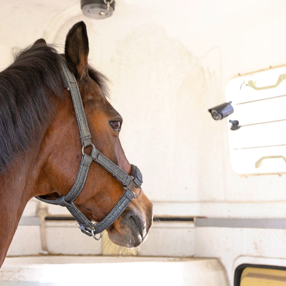 SmartCam HD Videocamera Wireless per Sorveglianza Animali con Supporto Magnetico e Visione