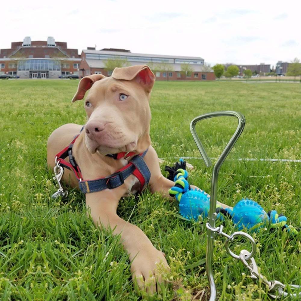 PA 6514 Picchetto Ferma a spirale per cani