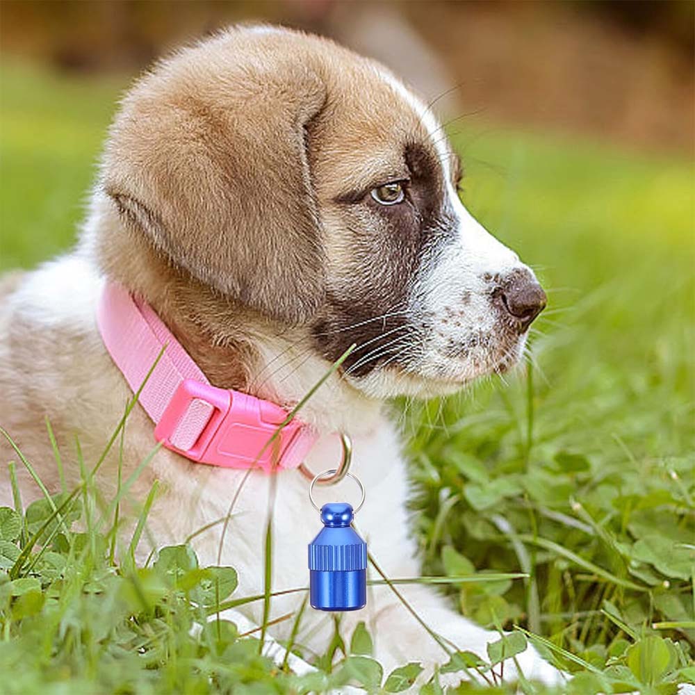 Sonaglino Per Collari