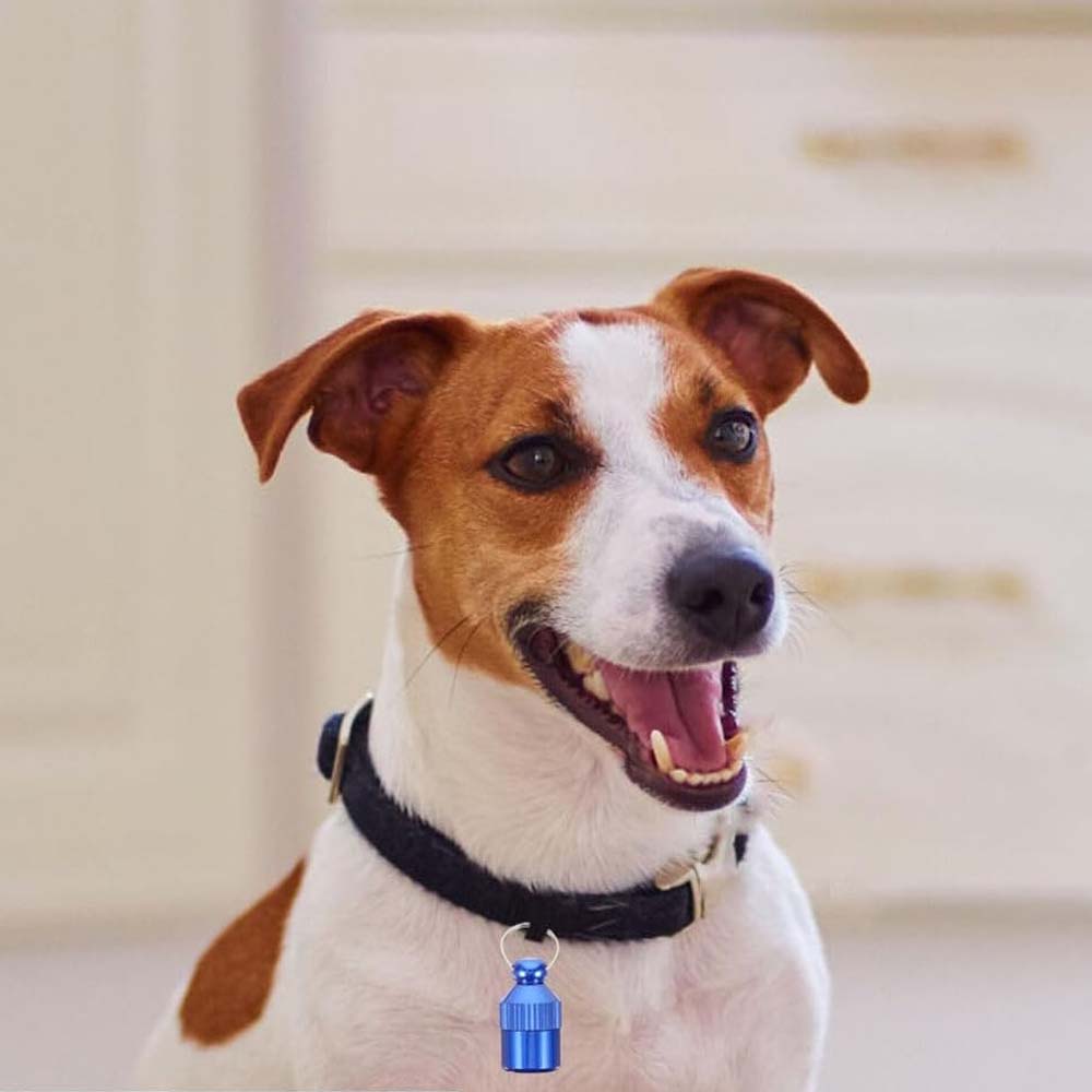 Sonaglino Per Collari