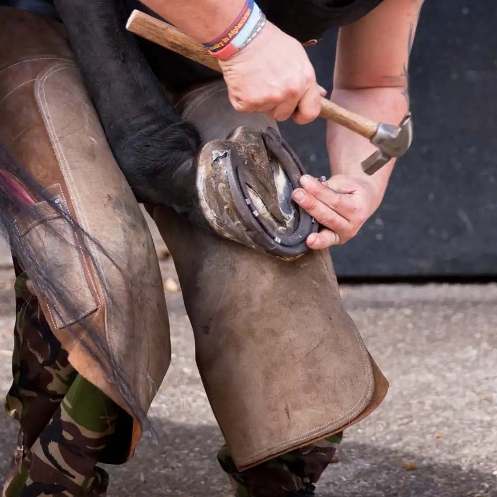 Chiodi Per Zoccoli Mustad