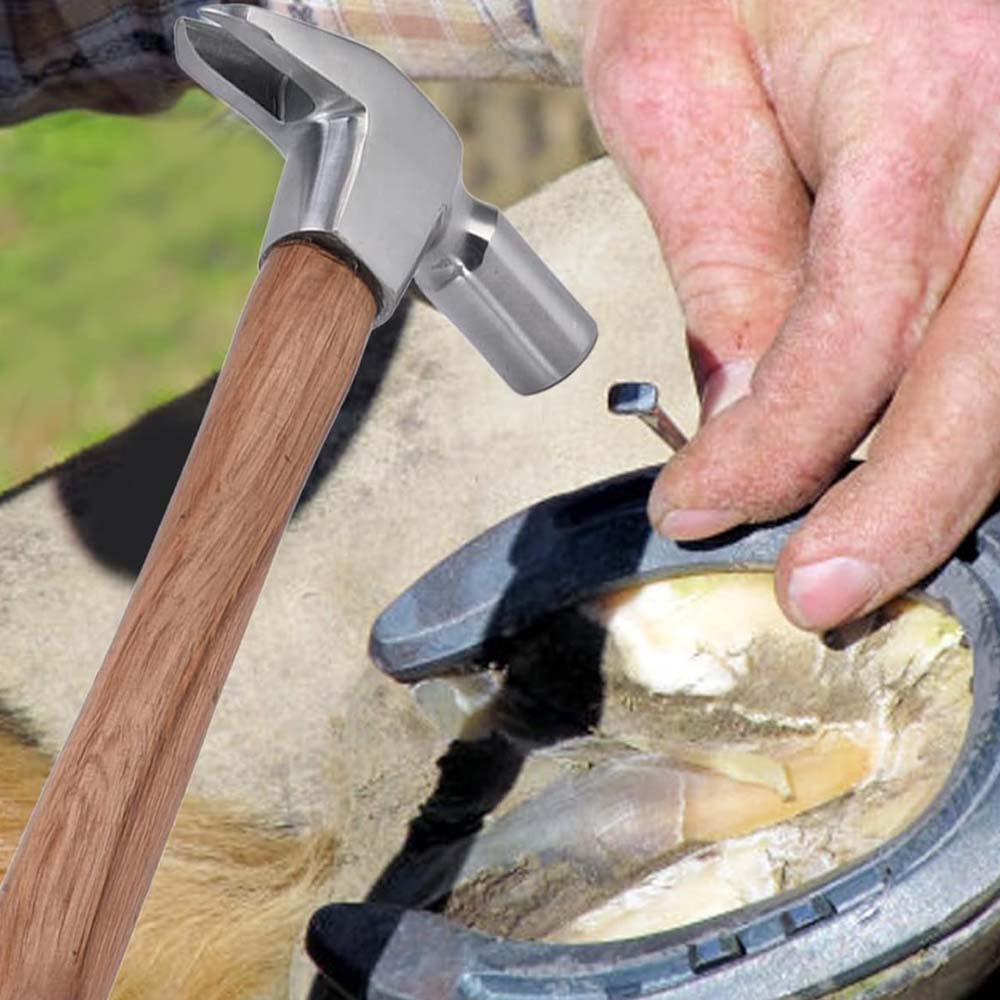 Chiodi Per Zoccoli Mustad