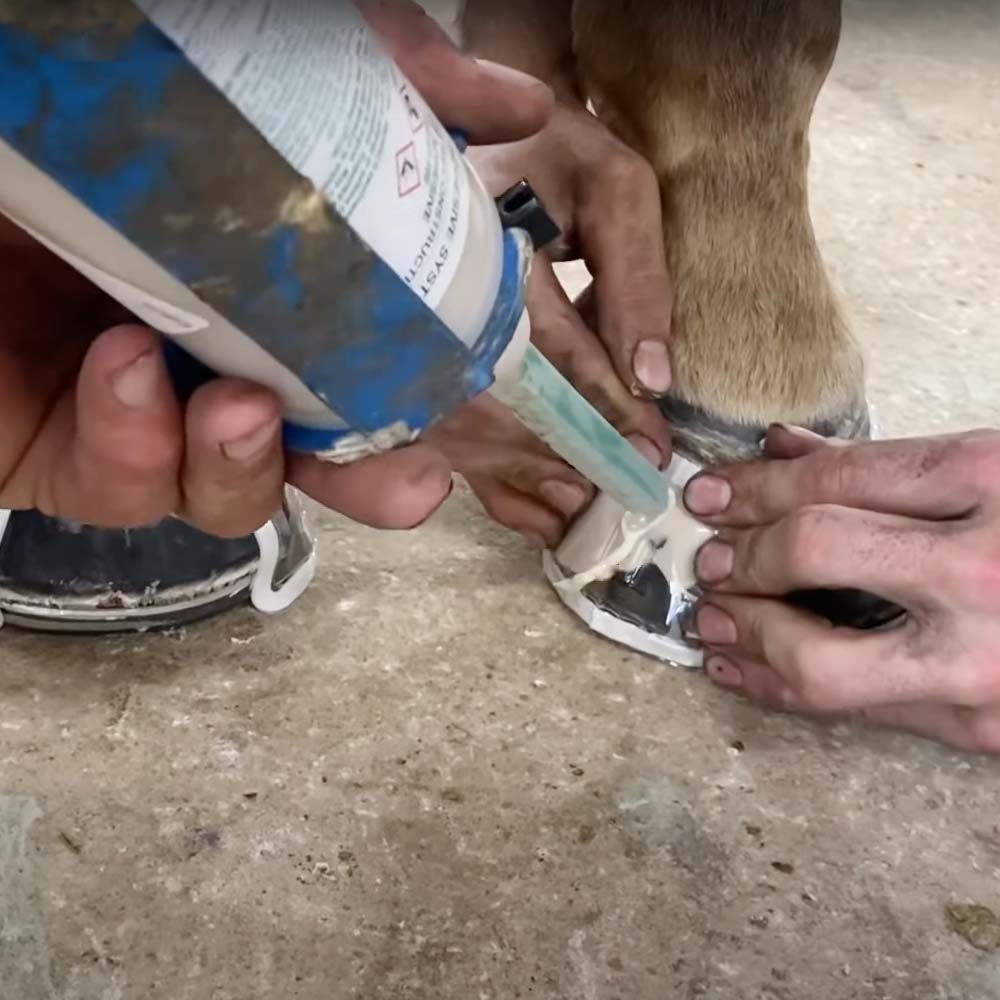 Equilox I e II Bianco - 420 ml | Adesivi Professionali per Riparazione Zoccoli