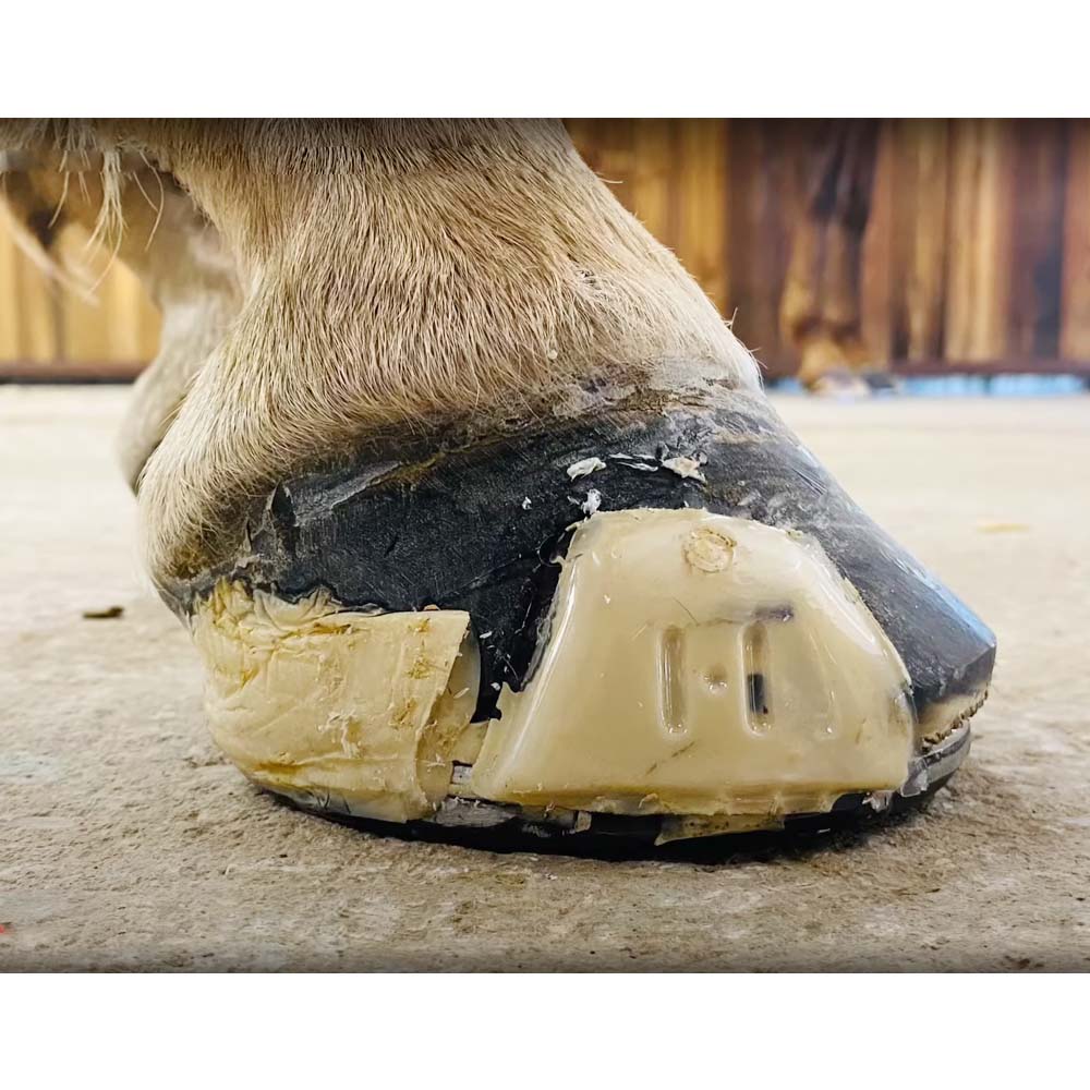 Equilox I e II Bianco - 420 ml | Adesivi Professionali per Riparazione Zoccoli