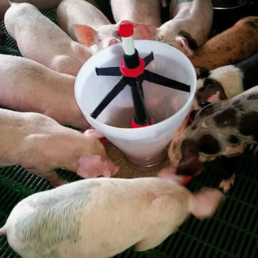 Mangiatoia A Casseruola Per Suinetti Maxi Hopper Pan